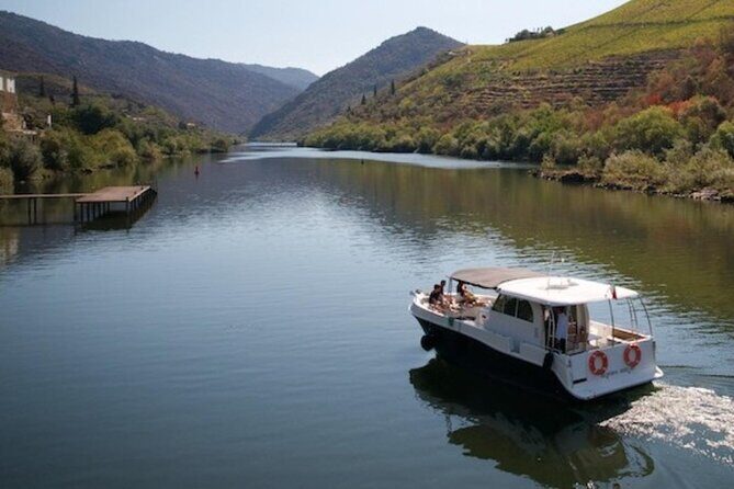VALE DOURO, Premium Wine Tour, Wine Lunch, Private Boat - Price and Logistics: How the $163.33 Makes Sense