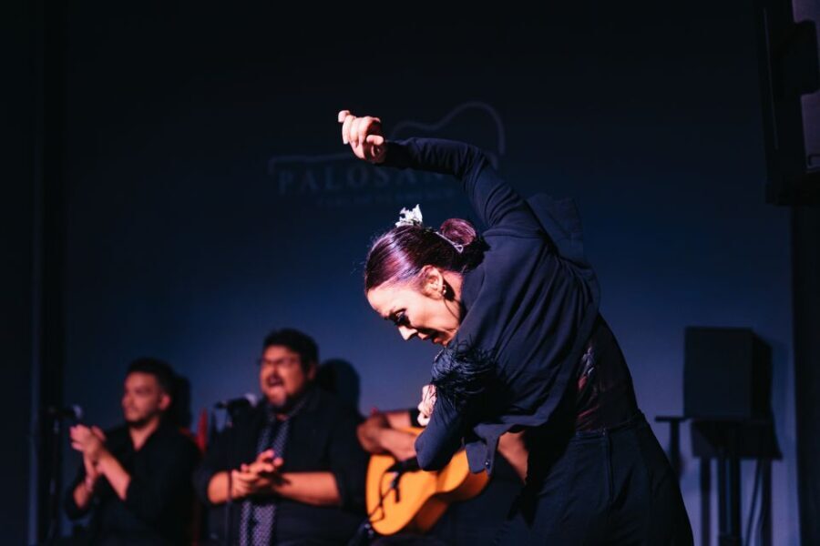 Valencia: Palosanto Flamenco Show Ticket - Ticket Basics: What’s Included and What Isn’t
