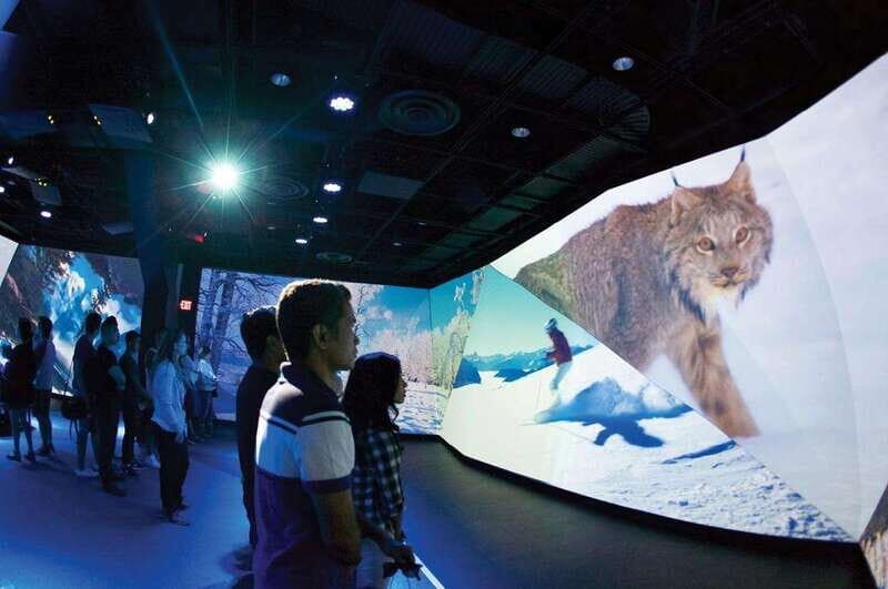 Flyover in Vancouver: An Immersive Flying Theatre Experience - Price, timing, and the reality of the 35-minute window