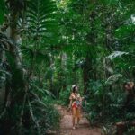Vanuatu Skybridge with Transfers - What the Tour Offers – A Deep Dive