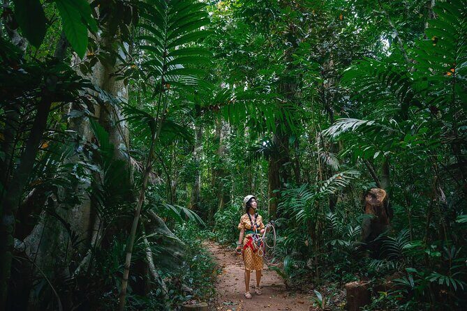 Vanuatu Skybridge with Transfers - What the Tour Offers – A Deep Dive