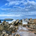 Victor Harbor and Fleurieu Peninsula Tour - What the Reviews Tell Us