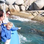 Victor Harbor: Seal Island Cruise - Practical Tips for Your Cruise