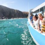 Victor Harbor: Southern Ocean Adventure Cruise with Guide - Who Would Enjoy This Tour?