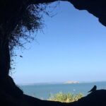 Volcanoes, Coasts, and Secret Spots Afternoon Tour in Auckland - Final Thoughts