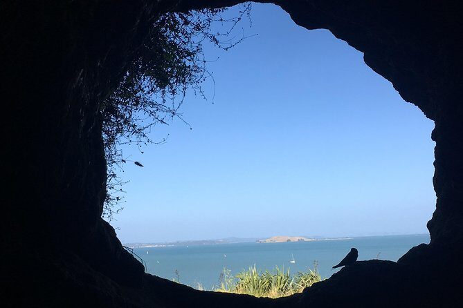 Volcanoes, Coasts, and Secret Spots Afternoon Tour in Auckland - Final Thoughts