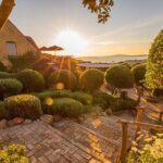 Waiheke Island Half Day Scenic Wine and Lunch - Transportation, Timing, and Group Size