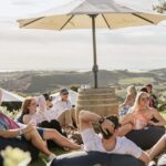 Waiheke Island: Scenic Island Wine Tour & Local Wine Tasting - The Group Experience and Guides
