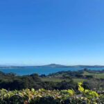 Waiheke Island: The Essence of Waiheke Wine Tour - Who This Tour Is Best For