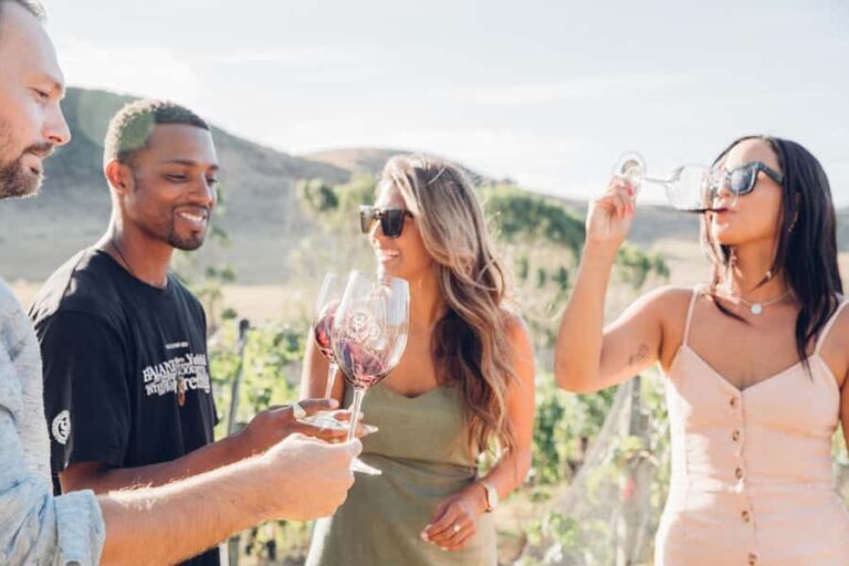 Waiheke Island: Wine Tour & Lunch at Award Winning Venue - What We Think – The Pros and Cons