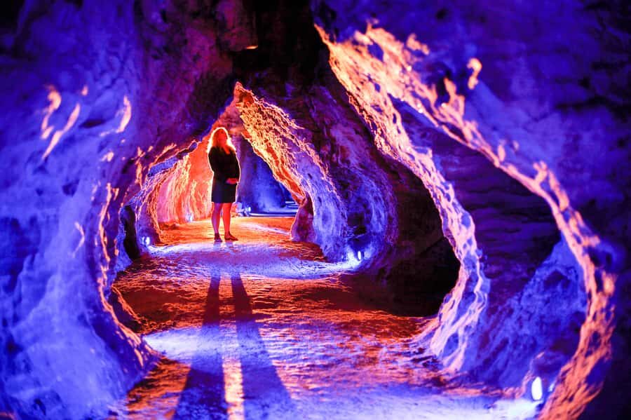 Waitomo Caves: Ruakuri Glowworm Cave Guided Walking Tour - The Guide and Personal Touch