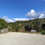 Waitomo Glowworm & Ruakuri Twin Cave Experience - Small Group Tour From Auckland - The Logistics: What to Expect