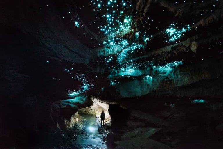 Waitomo: Guided Eco-Cave Tour - What to Expect and Consider