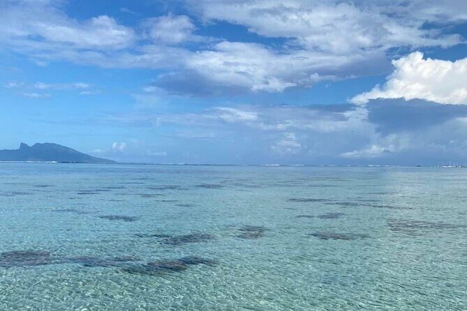 Want to escape? Treat yourself to a snorkeling session in Tahiti! - What Travelers Say About This Tour