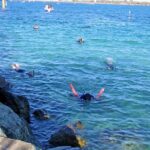 Wave Break Island Snorkel Tour on the Gold Coast - What to Expect from the Tour