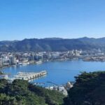 Wellington: Cave to Coast Highlights Guided Tour - Is This Tour Worth It?