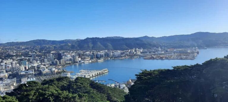 Wellington: Cave to Coast Highlights Guided Tour - Is This Tour Worth It?