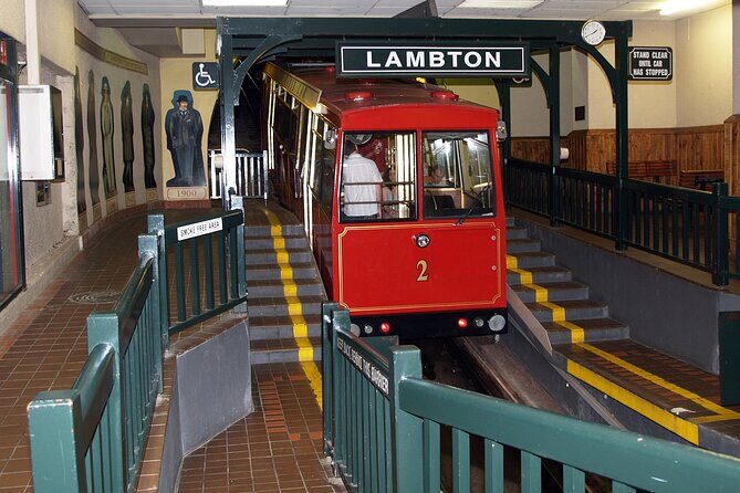 Wellington city heights sightseeing Private 5 hour tour - Who Is This Tour Best For?