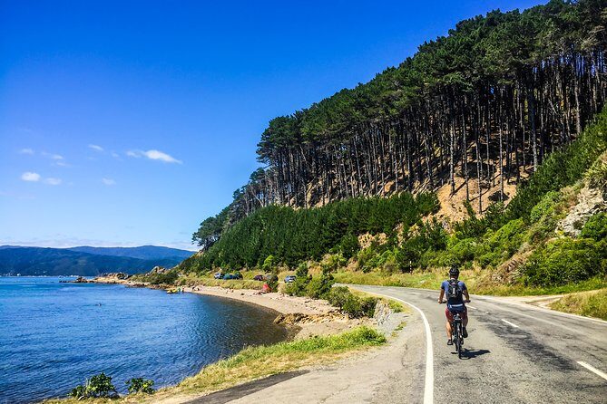 Wellington Electric Bike Rental - The Scenic Routes and Highlights