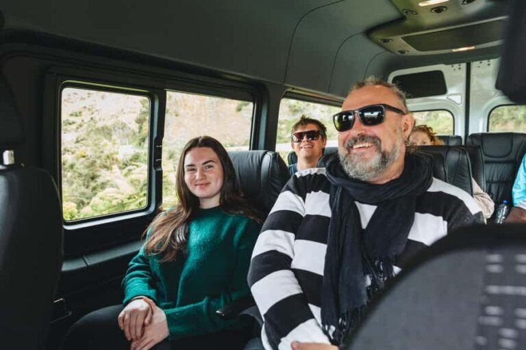 Wellington: Half Day Seal Coast Safari - Transportation & Group Size