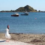 Wellington Scenic Full Day Tour - Who’s This Tour Best For?