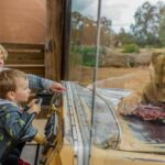 Werribee Open Range Zoo: Entry Ticket - Authentic Experiences & Honest Feedback