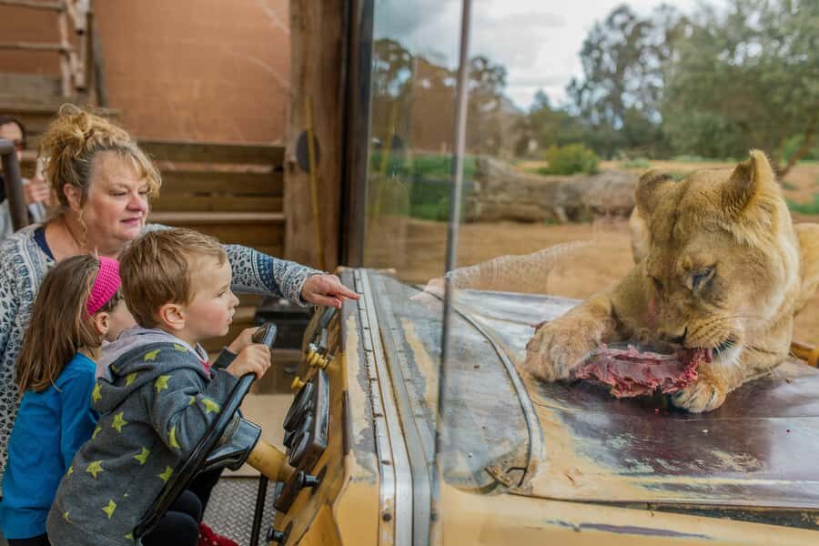 Werribee Open Range Zoo: Entry Ticket - Authentic Experiences & Honest Feedback