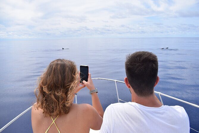 Whale and Dolphin Watching Tour in Madeira - What Happens During Your 2.5 Hours