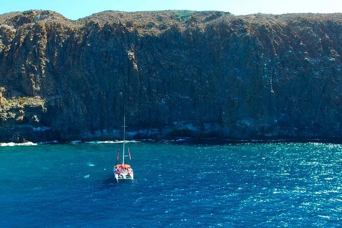 Whale Watching and Listening Eco Catamaran Tour with Food Tasting - The Real Strengths: What Reviewers Actually Loved