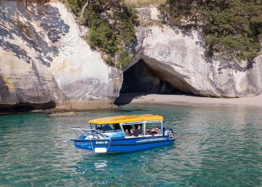 Whitianga: 2-Hour Glass Bottom Boat Cathedral Cove Tour - The Itinerary Breakdown