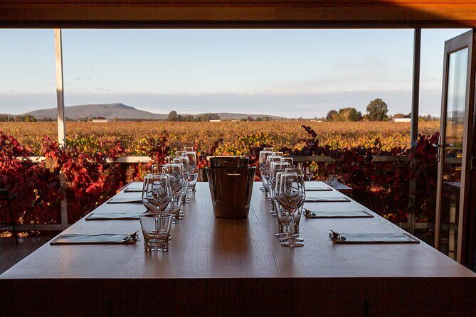 Wine Tasting Experience - The Scenic Setting and Views