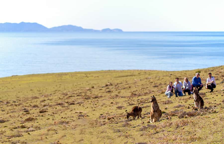 Wineglass Bay and Maria Island Scenic Flight Experience - The Itinerary: A Day in the Sky and on the Ground