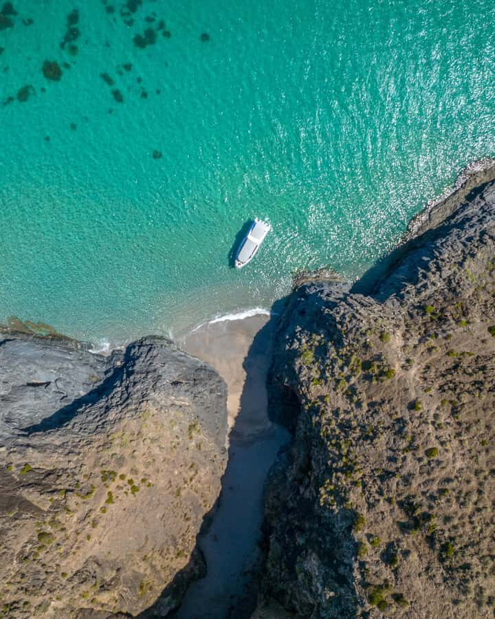 Wirrina Cove: Coastal Sightseeing Boat Tour with Seal Colony - The Experience: A Closer Look