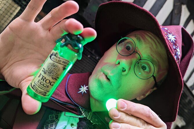 Wizard Walk of York - WINNER Best Tour & Best of York Award - The Wizard Guide: The Heart of the Experience