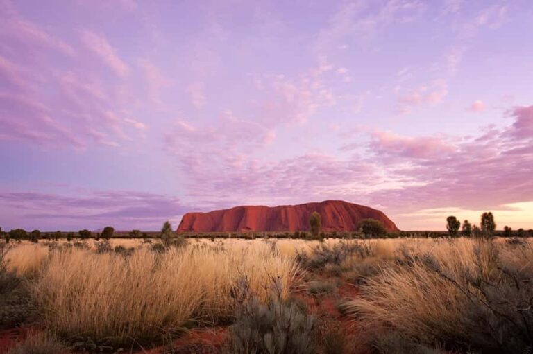 Yulara: Uluru Sunrise and Kata Tjuta Day Trip by Bus - The Experience from the Guides and Travelers