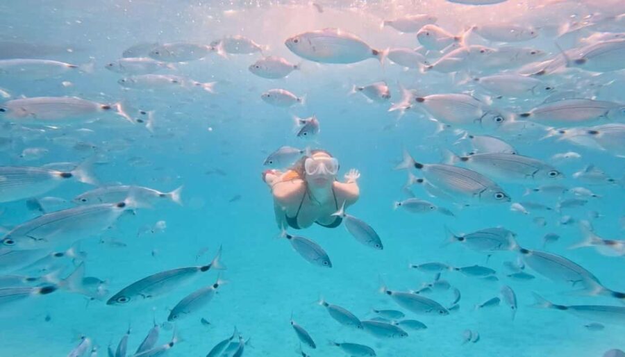 Zadar: Island Luxury Speedboat Tour with Snorkeling - Meeting Point in Zadar: Ul. kralja Dmitra Zvonimira 6 (Opposite Foša)