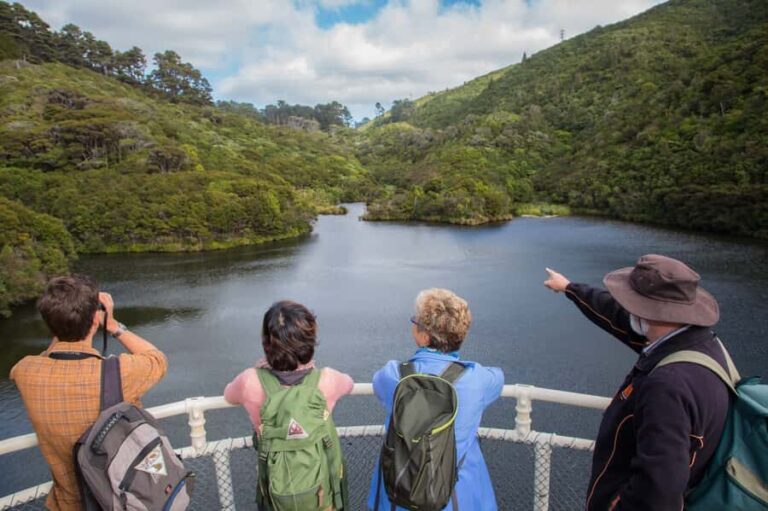 Zealandia by Day Tour - What to Expect from Your Zealandia Day Tour
