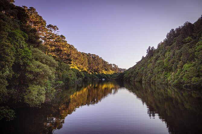 Zealandia - Twilight Guided Eco Wildlife Tour - The Hot Drink and Atmosphere