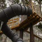 Zipline over the Heysen Trail & Through the Pines of Kuitpo - The Forest Setting and Additional Perks
