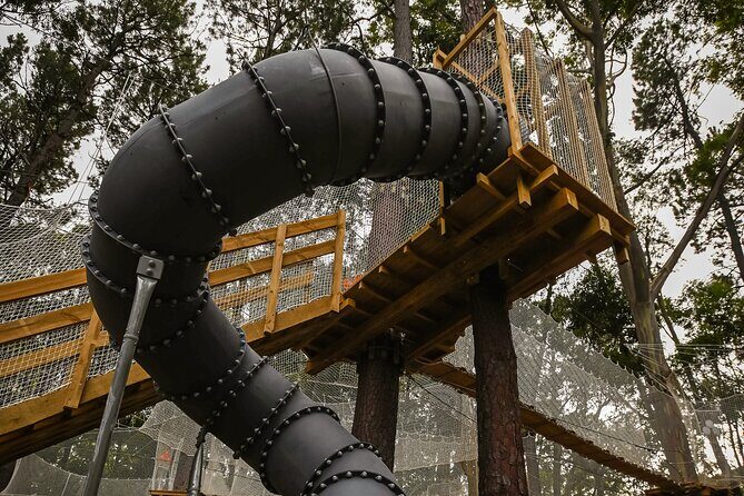 Zipline over the Heysen Trail & Through the Pines of Kuitpo - The Forest Setting and Additional Perks