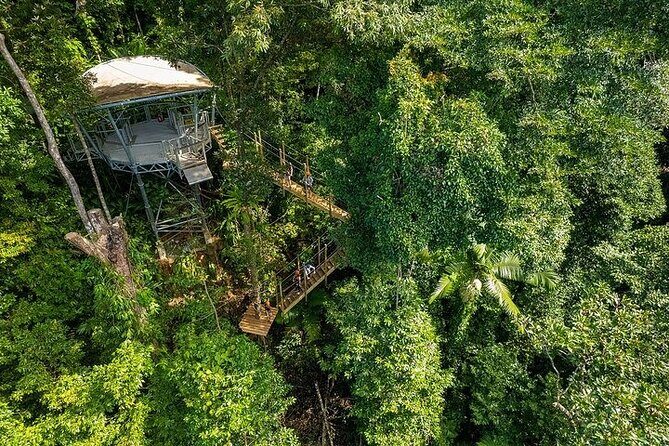 Ziplining Cape Tribulation with Treetops Adventures - Who Is This Tour Best For?