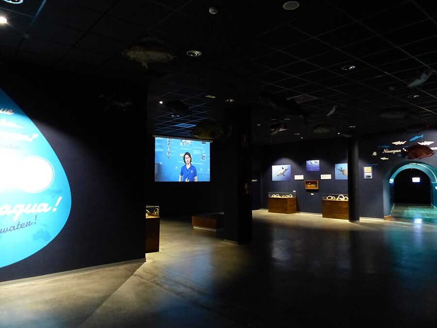 Gallery view at Acuario de Sevilla