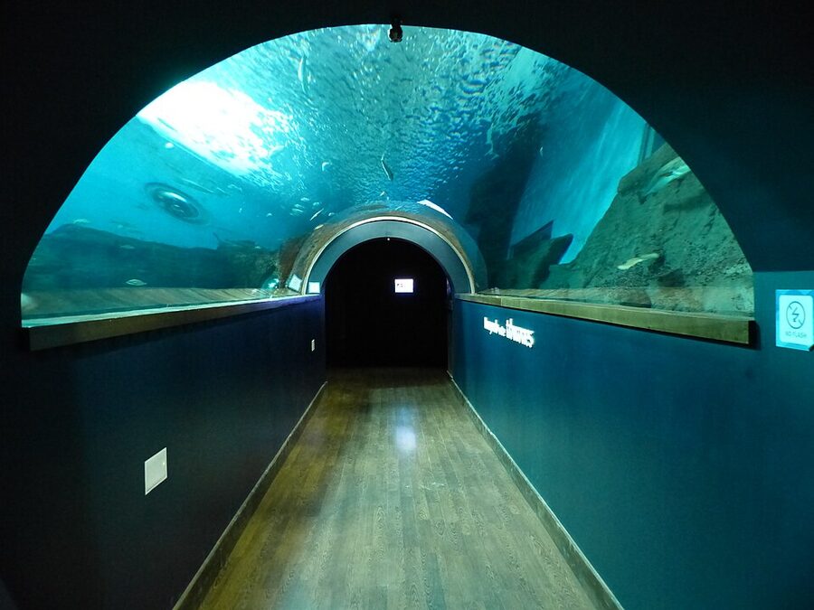 Tank interior at Acuario de Sevilla