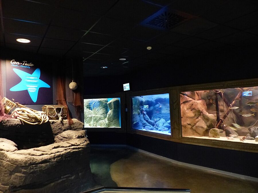 Walkthrough tunnel at Acuario de Sevilla