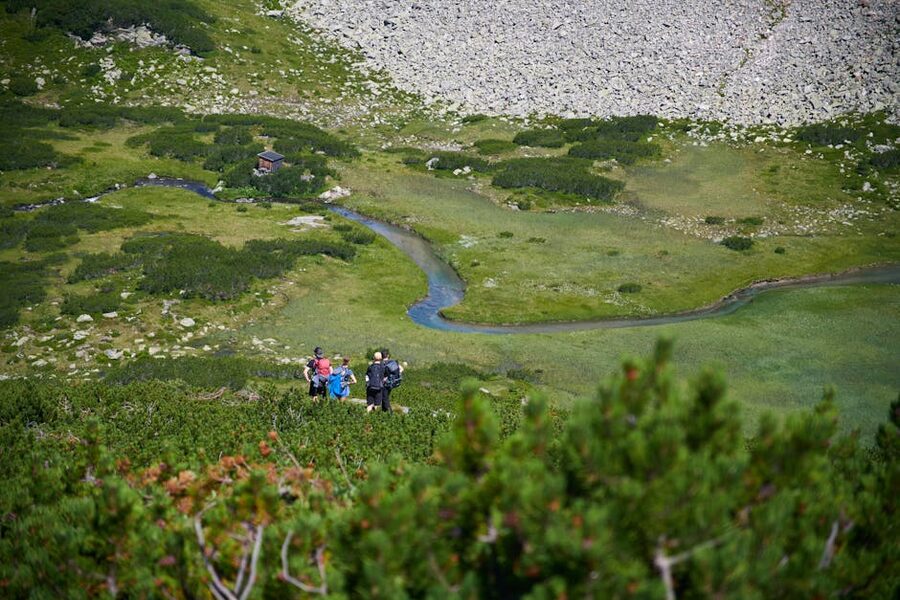 Hikers in alpine meadow