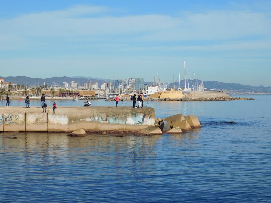 Barcelona coastline with beach and city skyline on a sunny day