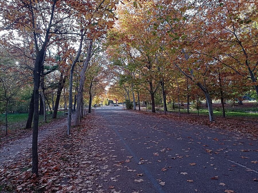 Casa de Campo park in Madrid at sunset
