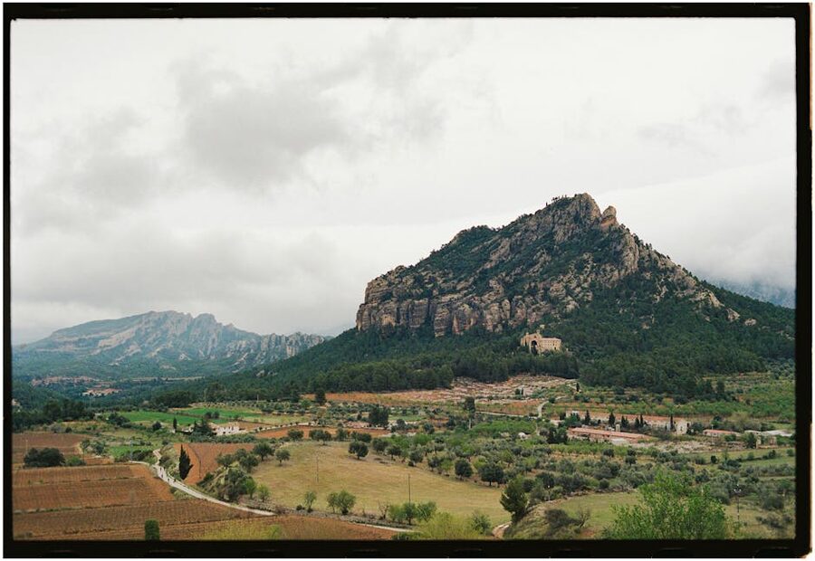 Rolling vineyards in the Catalonia countryside