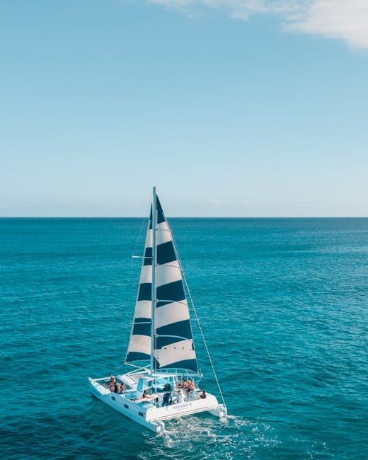 White catamaran sailing on calm blue sea