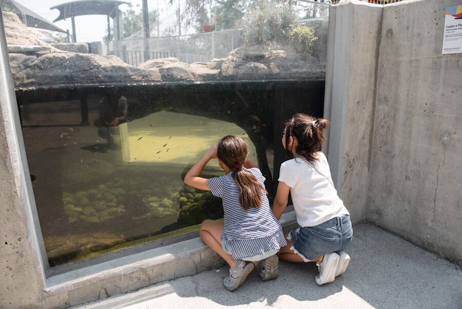Young children watching fish in aquarium tank